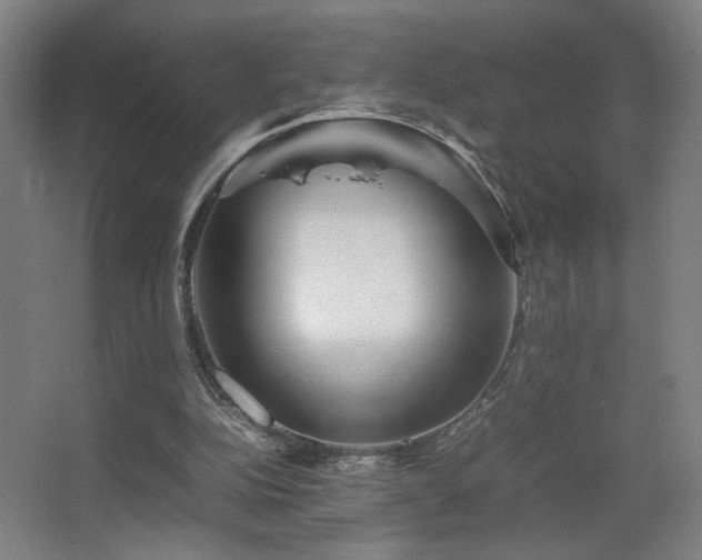 X0000067890152200604131337