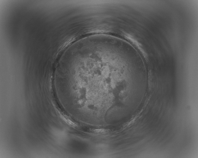 X0000067890153200604131337