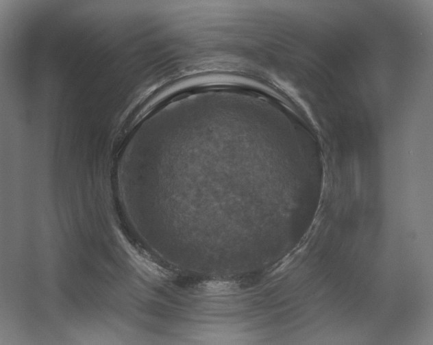 X0000067890154200604131337