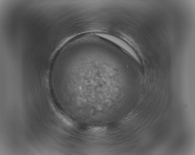 X0000067890155200604131337