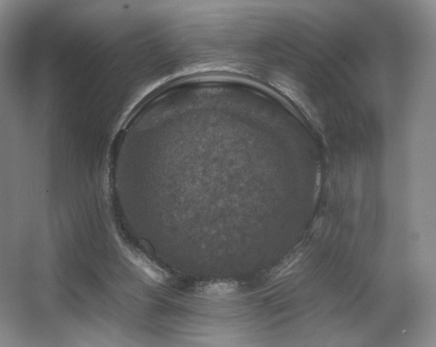 X0000067890156200604131337