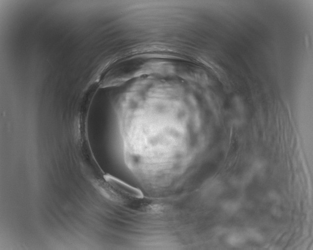 X0000067890158200604131337