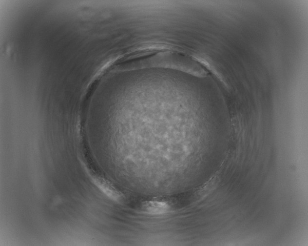 X0000067890159200604131337