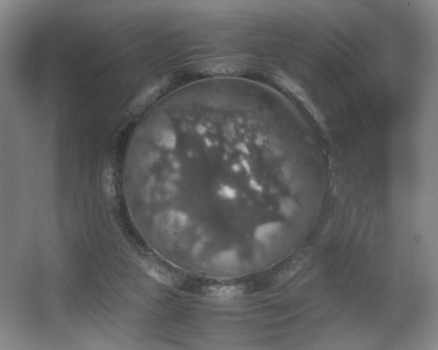 X0000067890161200604131337