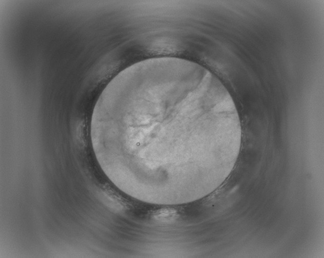 X0000067890162200604131337