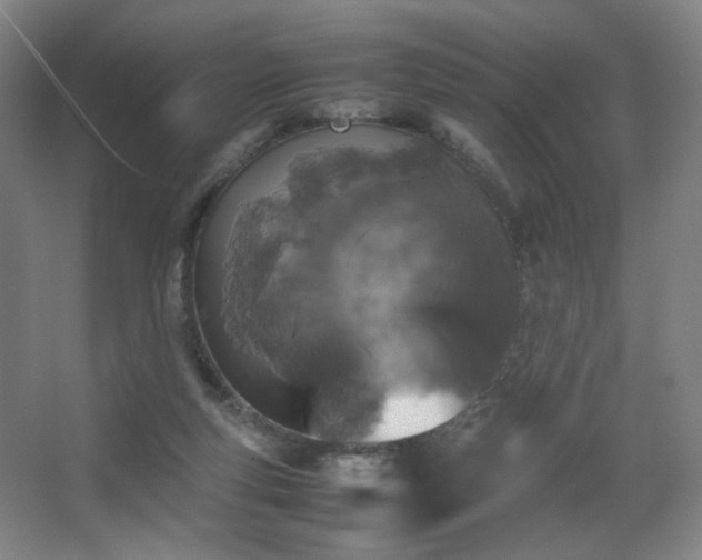 X0000067890163200604131337