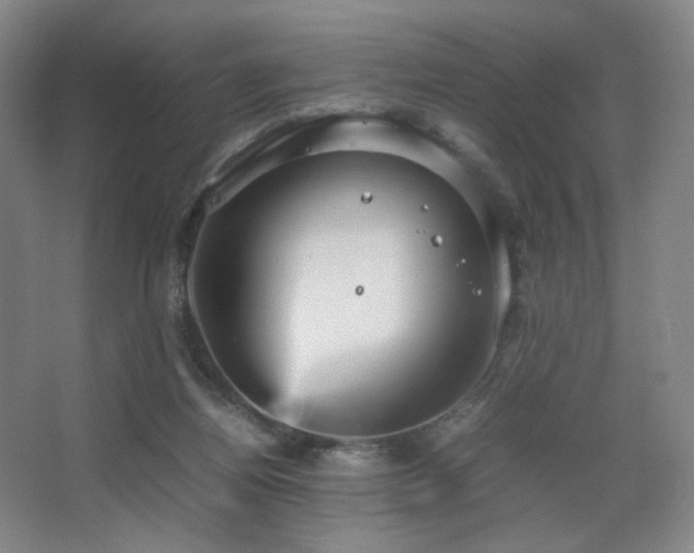 X0000067890164200604131337