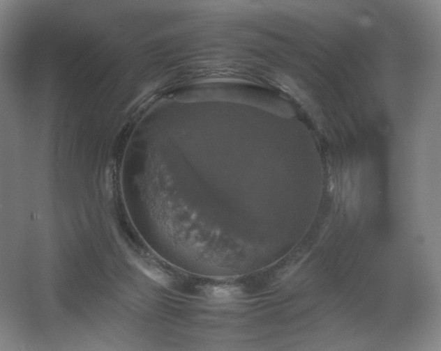 X0000067890165200604131337