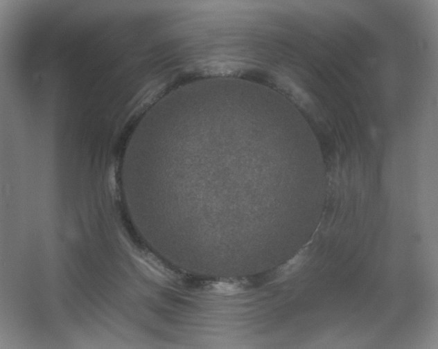 X0000067890166200604131337