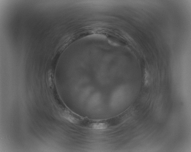 X0000067890169200604131337