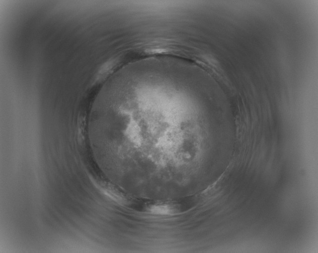 X0000067890171200604131338