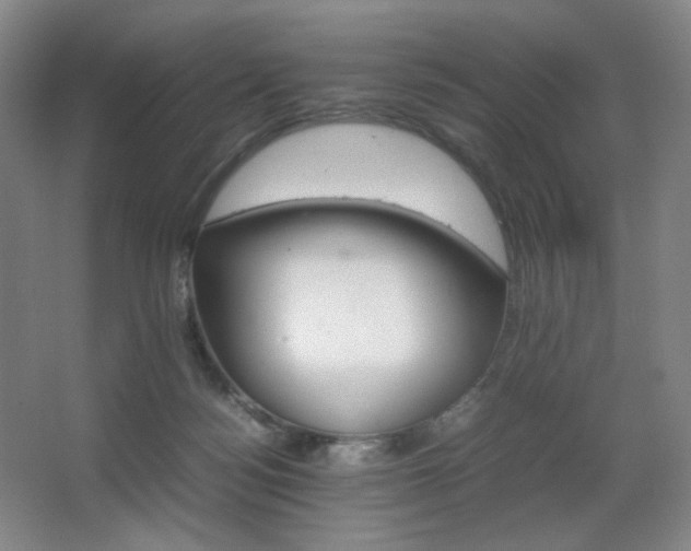 X0000067890172200604131338