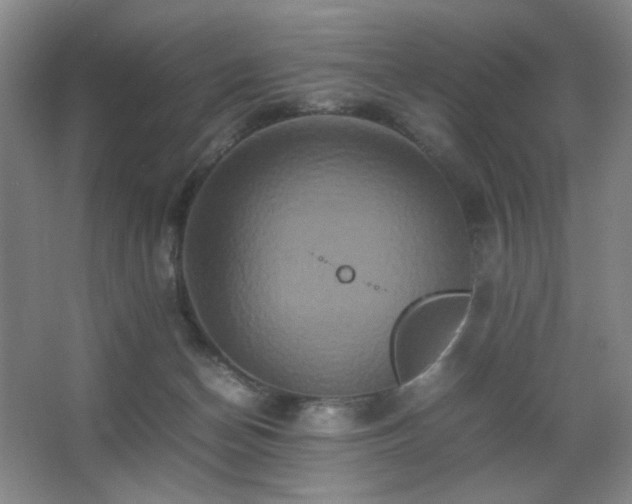 X0000067890174200604131338