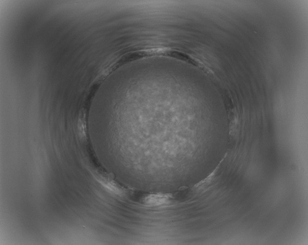 X0000067890179200604131338