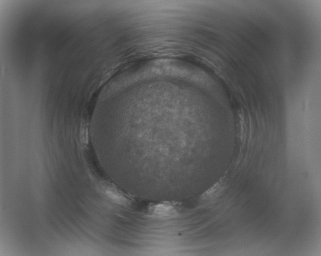 X0000067890180200604131338