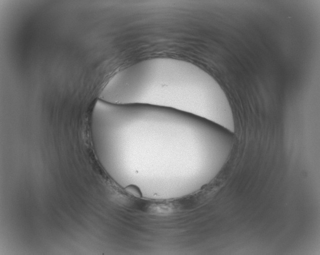 X0000067890181200604131338