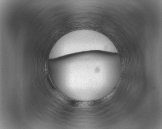 X0000067890182200604131338