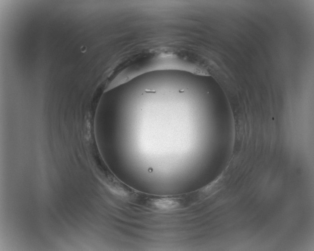 X0000067890183200604131338