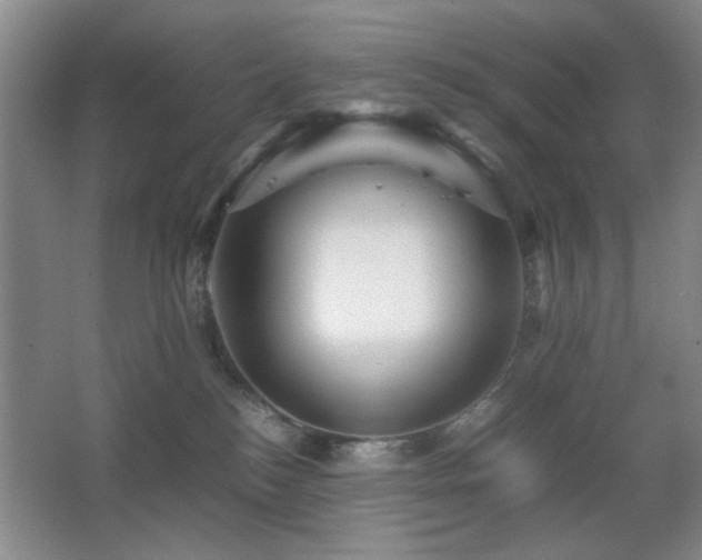 X0000067890184200604131338