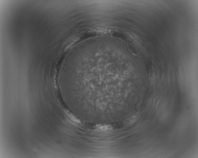 X0000067890185200604131338