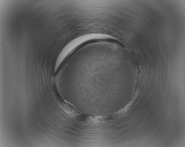 X0000067890186200604131338