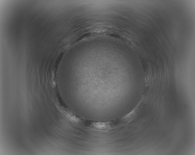 X0000067890187200604131338