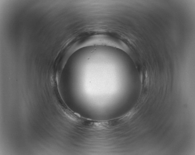 X0000067890188200604131338