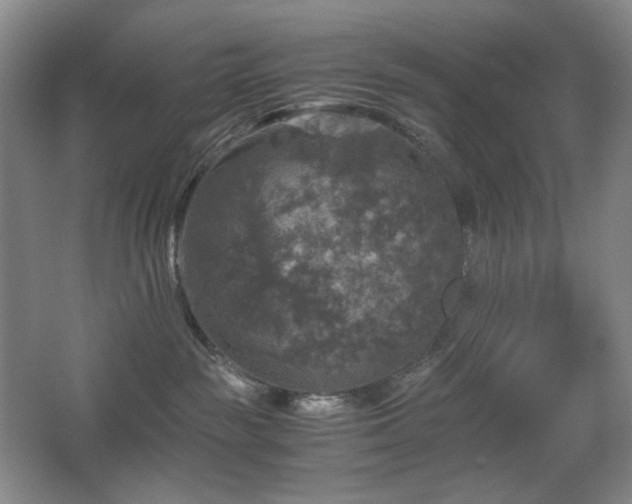 X0000067890189200604131338