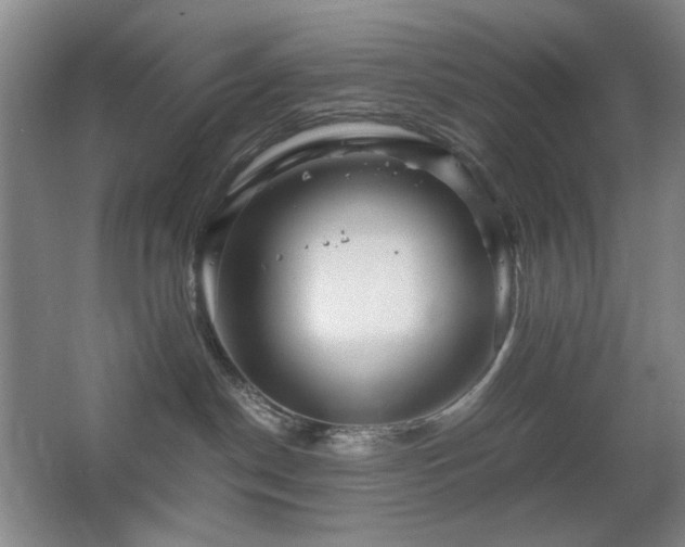 X0000067890190200604131338