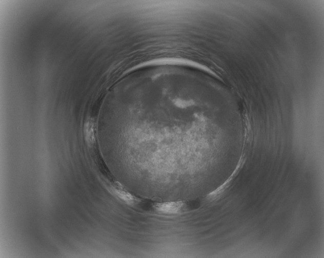 X0000067890191200604131338