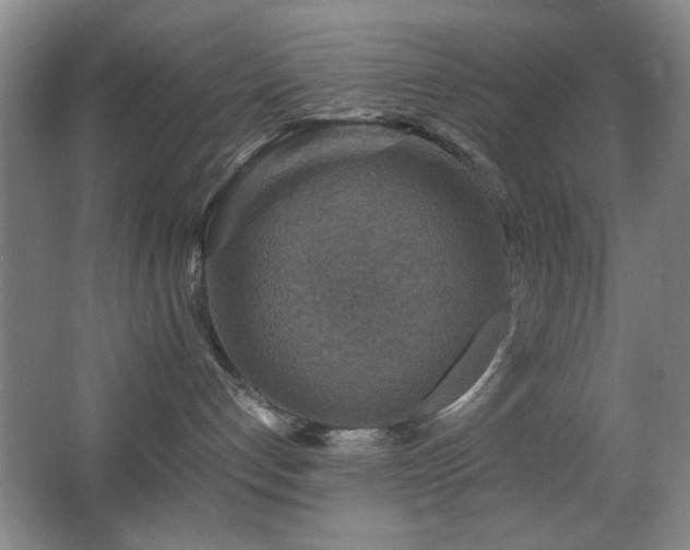 X0000067890192200604131338