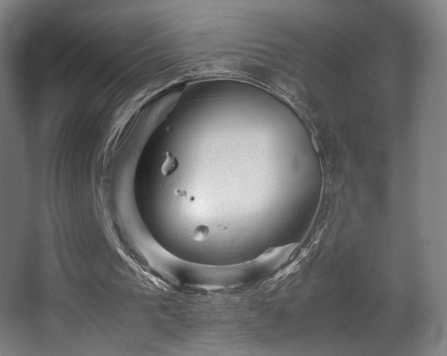 X0000067890193200604131337