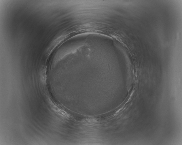 X0000067890194200604131337