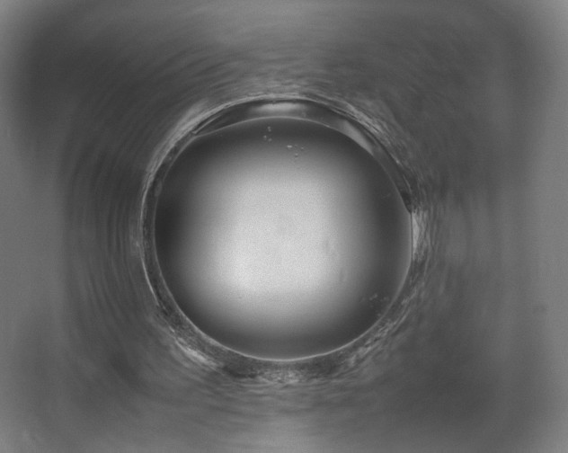 X0000067890195200604131337