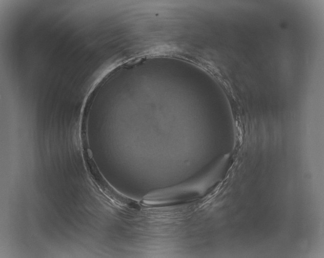 X0000067890196200604131337