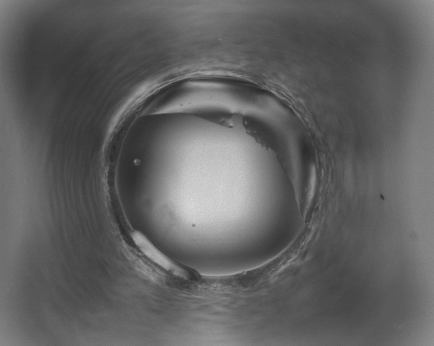 X0000067890197200604131337