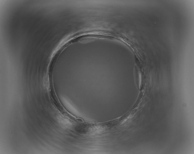 X0000067890198200604131337