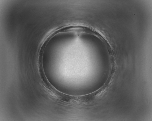 X0000067890199200604131337