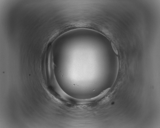 X0000067890201200604131337