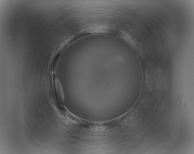 X0000067890202200604131337