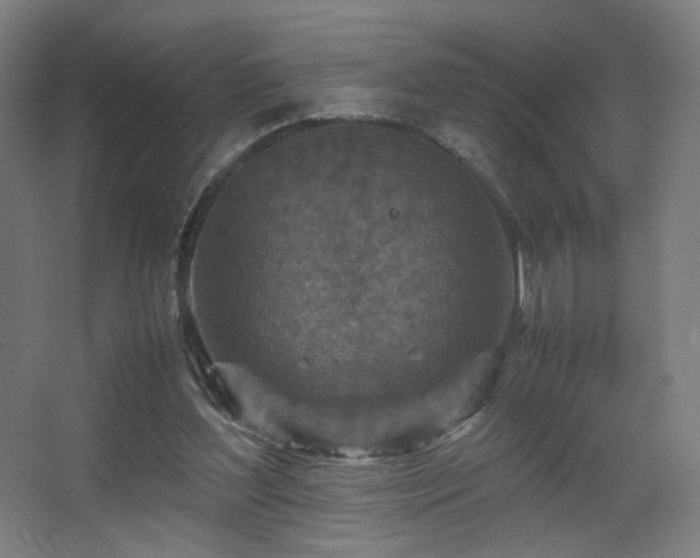 X0000067890204200604131337