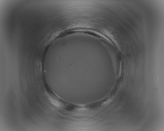 X0000067890205200604131337