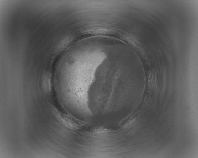 X0000067890206200604131337