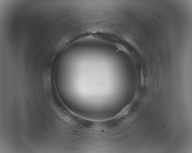 X0000067890207200604131337