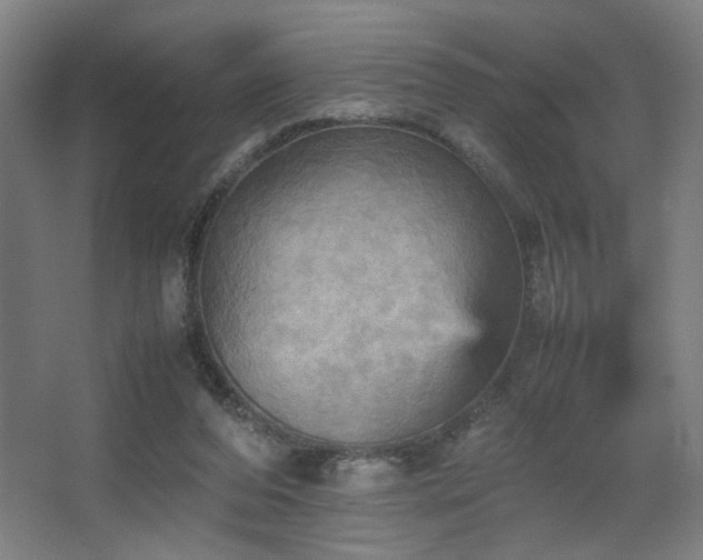 X0000067890208200604131337