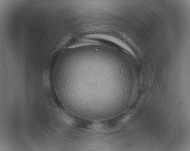 X0000067890209200604131337