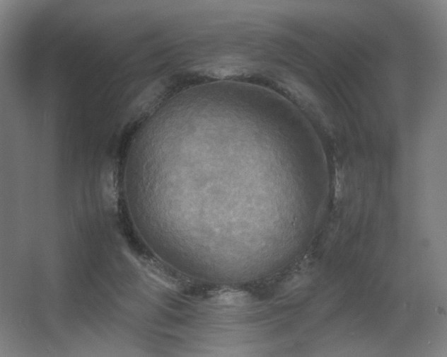 X0000067890210200604131337