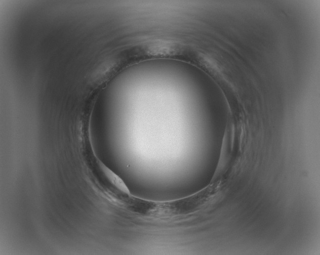 X0000067890211200604131337