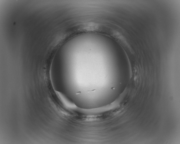 X0000067890212200604131337