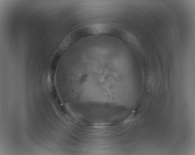 X0000067890214200604131337